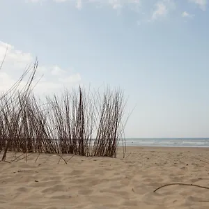 Mrz La Fábrica , Barbate España